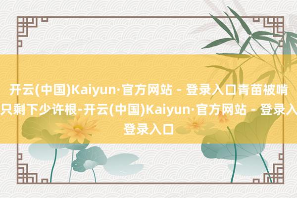 开云(中国)Kaiyun·官方网站 - 登录入口青苗被啃得只剩下少许根-开云(中国)Kaiyun·官方网站 - 登录入口