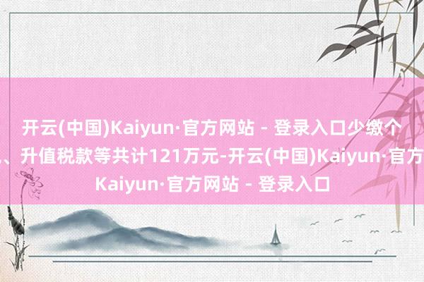 开云(中国)Kaiyun·官方网站 - 登录入口少缴个东说念主所得税、升值税款等共计121万元-开云(中国)Kaiyun·官方网站 - 登录入口
