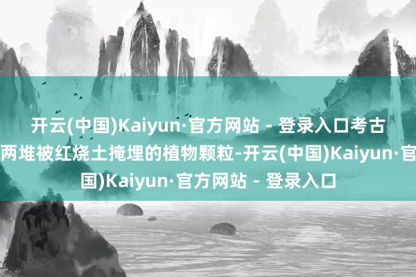开云(中国)Kaiyun·官方网站 - 登录入口考古东说念主员发现了两堆被红烧土掩埋的植物颗粒-开云(中国)Kaiyun·官方网站 - 登录入口