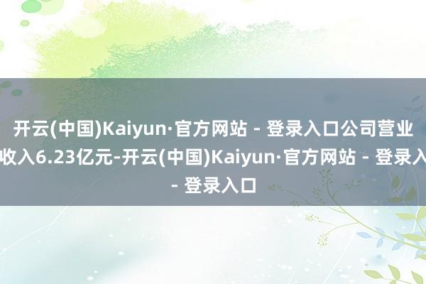 开云(中国)Kaiyun·官方网站 - 登录入口公司营业总收入6.23亿元-开云(中国)Kaiyun·官方网站 - 登录入口