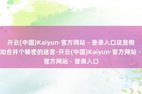 开云(中国)Kaiyun·官方网站 - 登录入口这些微小的结构如合并个精密的迷宫-开云(中国)Kaiyun·官方网站 - 登录入口